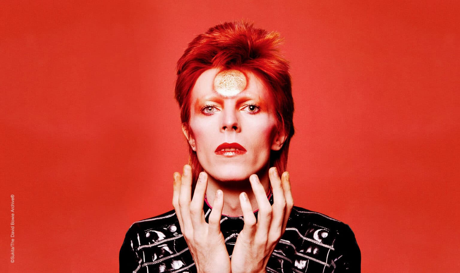 The Rise and Fall of Ziggy Stardust and the Spiders from Mars - David ...