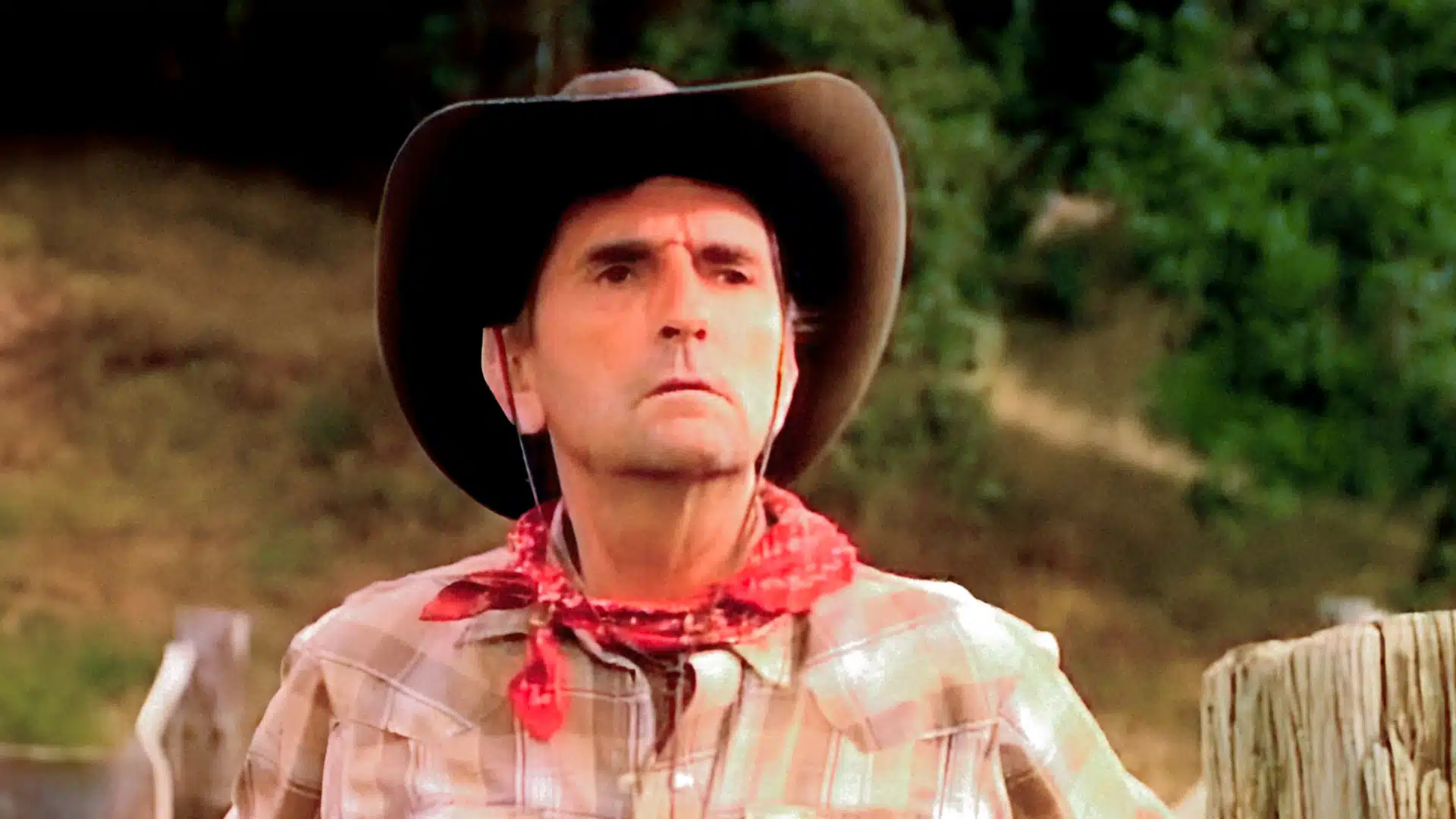 The Cowboy and the Frenchman