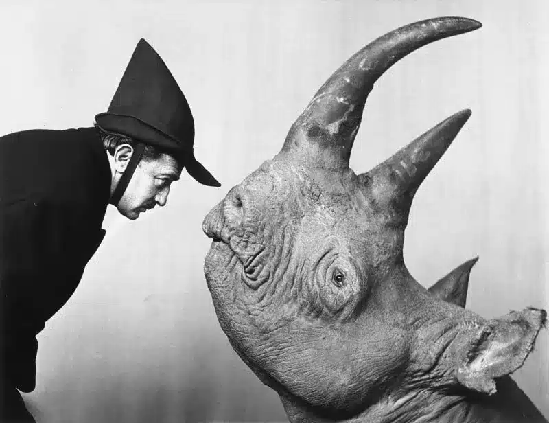 Salvador Dalí cara a cara com a cabeça empalhada de um rinoceronte, em uma famosa fotografia tirada por Philippe Halsman em 1956.